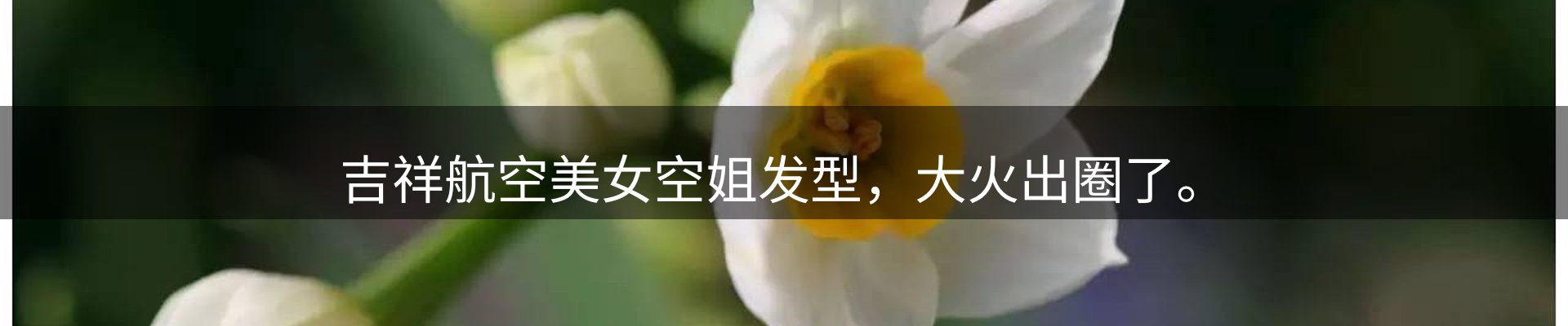 平台资讯