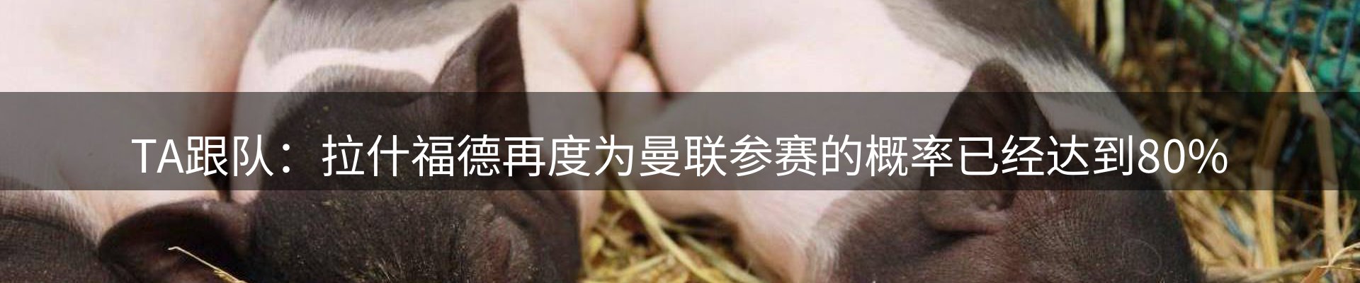 平台资讯